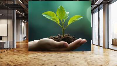  A young plant sprouts from a handful of soil, a symbol of growth and sustainability for World Health Day. This image captures the essence of life's resilience and hope for a healthier world. Wall mural