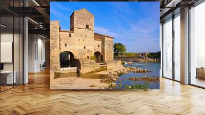 Saint-Thibery Wassermühle - Saint-Thibery watermill, Languedoc-Roussillon Wall mural