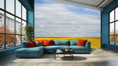 Summer landscape with yellow field and blue sky Wall mural