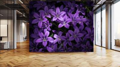 fiori viola Wall mural