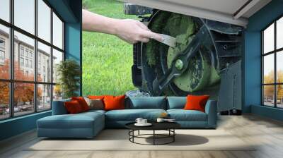 The hand cleans the lawnmower from grass clippings. Lawn mower blade. The lower part of the lawn mower. Wall mural