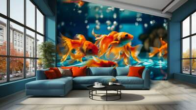 Closeup of beautiful goldfish in glass fish tank at home Wall mural