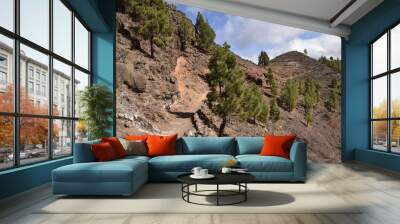 La Gomera Wall mural