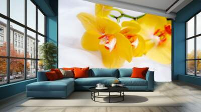 The branch of yellow orchids on white fabric background
 Wall mural