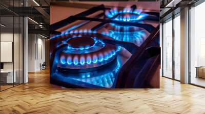 The gas burns in the burner of a kitchen stove  Wall mural