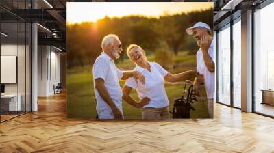 Three seniors golfers talking on golf field.  This was the perfect day for fun. Wall mural