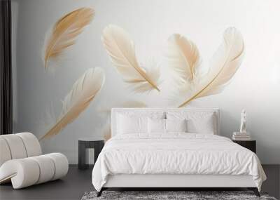 Close up of a feathers floating in the air in white background Wall mural