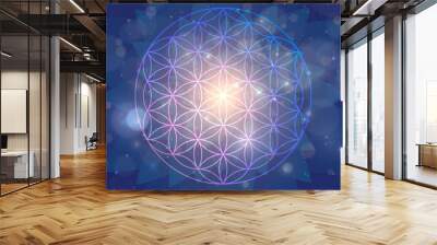 Background with the sign of the Flower of Life, astral space pattern Wall mural