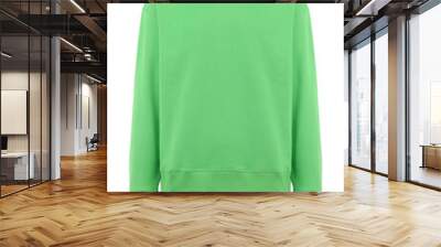 Blank green sweater Wall mural