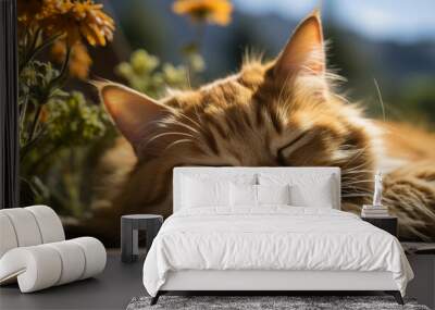 Charming and funny photo of a sleepy kitten, showcasing its fluffy striped fur and adorable expression. Wall mural