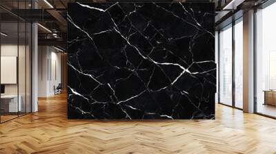 Black and white veiny marble block texture background  Wall mural