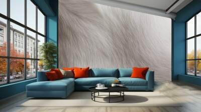 White animal fur close up background Wall mural