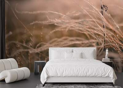 Steppe grasses swinging in the wind backlight Wall mural