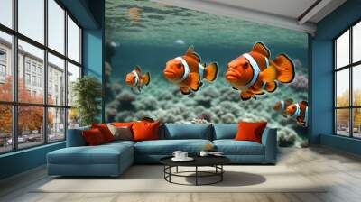  Clownfishes swimming in ocean Wall mural