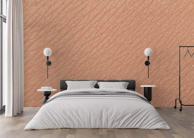 human skin texture macro Wall mural