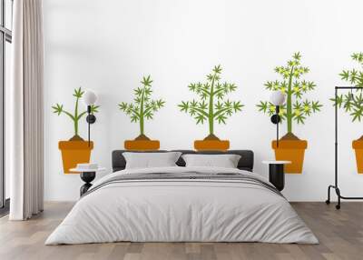 Cannabis plant growth stages in ceramic pot. Hemp with green leaf. Planting of medical marijuana illustration Wall mural