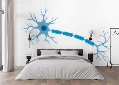 Human neuron structure. Brain neuron cell illustration. Synapses, myelin sheat, cell body, nucleus, axon and dendrites scheme. Neurology illustration Wall mural