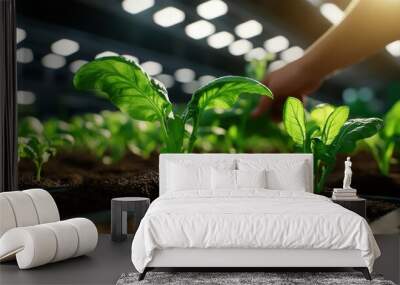 A close-up of young spinach plants thriving under artificial lights in an indoor farming setup, demonstrating controlled environment agriculture techniques. Wall mural