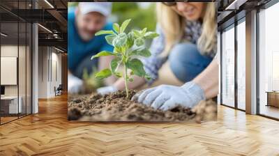 Two individuals working together outside to plant a small green plant in the soil, both wearing gloves, symbolizing teamwork, care for nature, and community effort. Wall mural