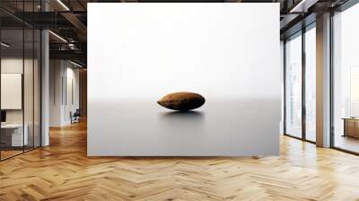 single almond Wall mural