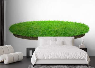 Abstract green grass texture for background. Circle green grass pattern isolated on a white background. Wall mural