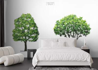 Collection of tree isolated on white background. Natural object for landscape design, architectural decoration, park and outdoor graphic. Vector. Wall mural