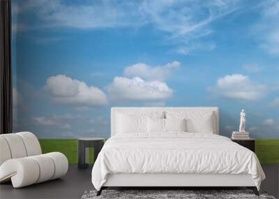 Green grass field and blue sky with white clouds. Beautiful landscape background. Wall mural