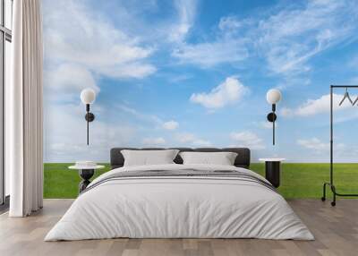 Green grass field and blue sky with white clouds. Beautiful landscape background. Wall mural