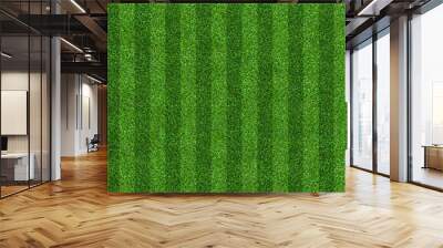 Green grass field background for soccer and football sports. Green lawn pattern and texture background. Close-up. Wall mural