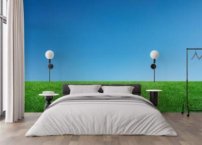 Landscape of grass field and green environment park use as natural background. Field of green grass and sky. Wall mural