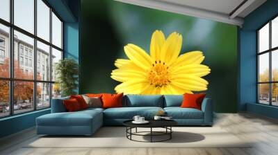 yellow flower macro Wall mural