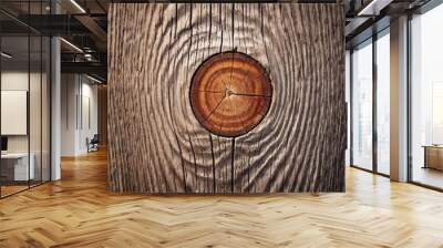 A high-resolution close-up of a wooden plank with detailed grain patterns, distinct knots, and a surface showing slight wear and distress for an authentic look Wall mural