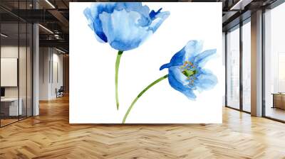 Blue Poppy. Floral botanical flower. Isolated poppy illustration element. Wall mural