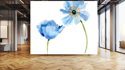 Blue Poppy. Floral botanical flower. Isolated poppy illustration element. Wall mural