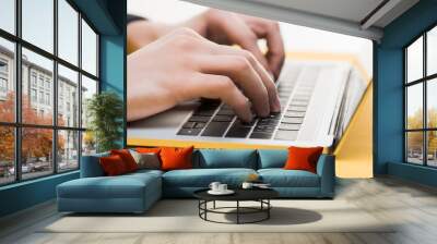 close up of hacker using laptop isolated on white Wall mural