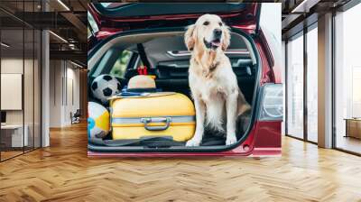 dog sitting in car trunk with luggage Wall mural