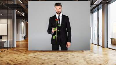 elegant handsome businessman in black suit holding red rose isolated on grey Wall mural