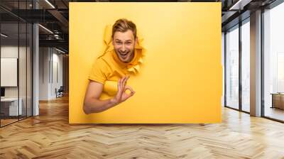 happy handsome man in yellow outfit in yellow paper hole showing ok sign Wall mural