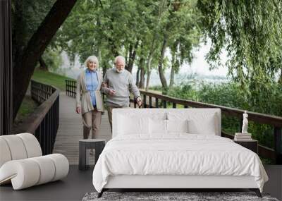 happy senior couple walking with adorable dog in park Wall mural