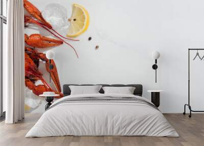 panoramic shot of red lobsters, peppers, lemon slices and ice cubes on white background Wall mural