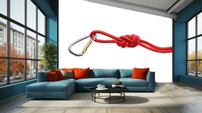 rope with knot and carabiner Wall mural