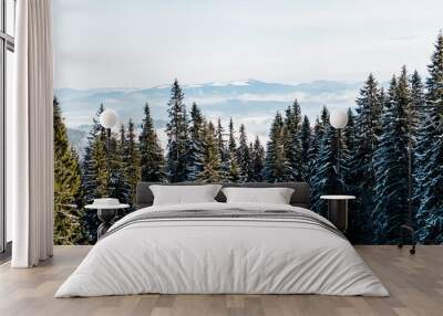 Scenic view of snowy mountains with pine trees in white fluffy clouds Wall mural