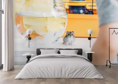 selective focus of funny fury hamster and aquarium with gold fish on white table Wall mural