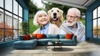 smiling senior couple looking at adorable dog while resting in park Wall mural