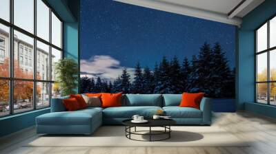 starry dark sky and spruces in carpathian mountains at night in winter Wall mural