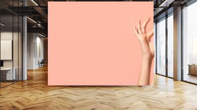 surprised woman with opened mouth showing ok sign isolated on pink, banner. Wall mural