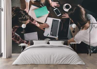 top view of women studying with books and laptop Wall mural