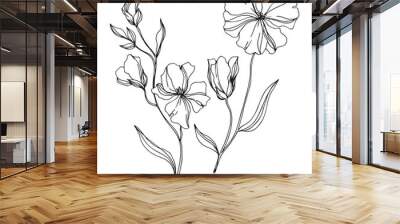 Vector Flax floral botanical flowers. Black and white engraved ink art. Isolated flax illustration element. Wall mural