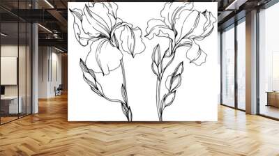 Vector Irises floral botanical flowers. Black and white engraved ink art. Isolated irises illustration element. Wall mural