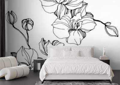 Vector Orchid floral botanical flower. Black and white engraved ink art. Isolated orchid illustration element. Wall mural